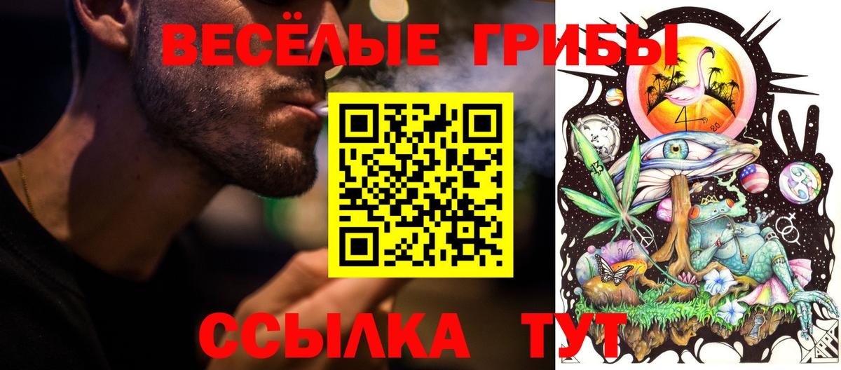 Киреевск  Галлюциногенные грибы мицелий  Псилоцибиновые грибы GOLDEN TEACHER  Вход с VPN 