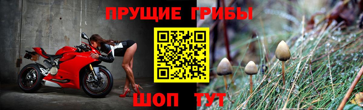 Галлюциногенные грибы мухоморы Киреевск